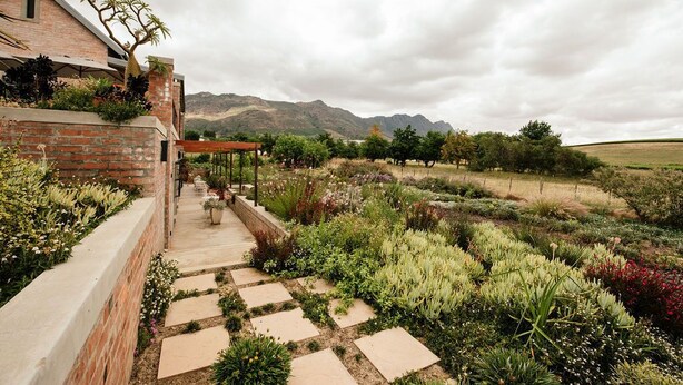 A garden pathway leading to a house with a brick exterior and a tree. - Vineyard Views Country House (Riebeek Kasteel)