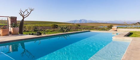 Outdoor pool, sun loungers