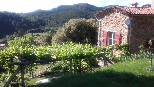 A stone building with red shutters, surrounded by lush greenery and vineyards. - Typical Cevennes house for people with mountain view (Mialet)