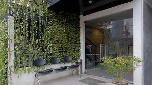 Un espace d’accueil avec un banc, un mur recouvert de lianes vertes et des plantes en pot.