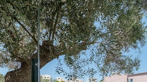 Un jardin avec un grand arbre, un poteau en métal et une zone herbeuse, avec un bâtiment visible au loin.