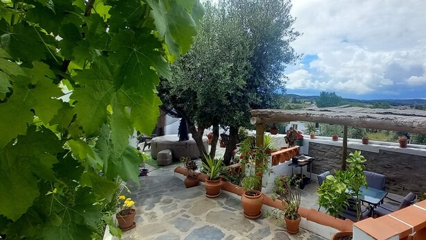 Una terraza en la azotea con plantas en macetas, mobiliario exterior y vistas al campo.