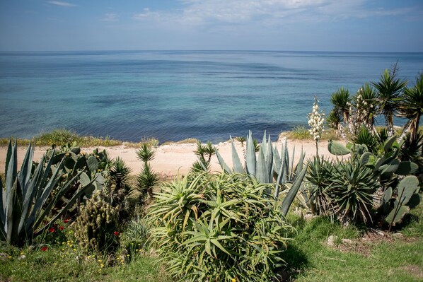 House | View from room - Oikia Eleanthi - Beachfront Garden Home (Preveza)