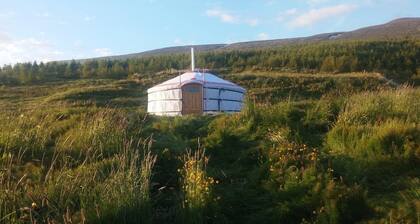 Iceland Yurt