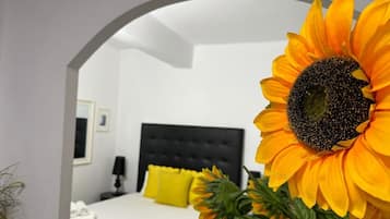 2 bedrooms, iron/ironing board, free internet, bed sheets