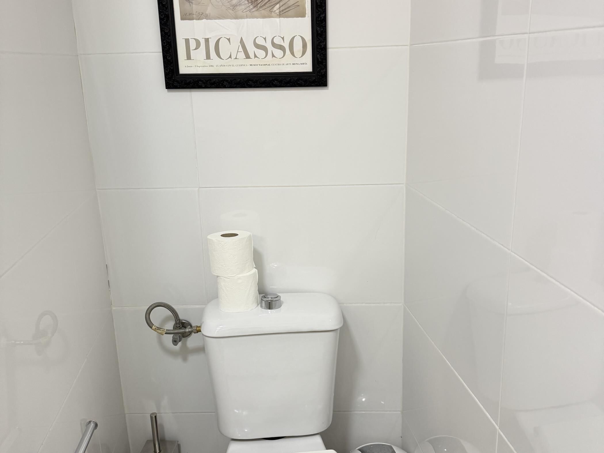 A bathroom with a toilet, a roll of toilet paper, and a framed artwork on the wall.