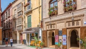 Una calle con un edificio que tiene una puerta verde, plantas en macetas y un letrero.