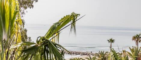 Nær stranden og strandhåndklær