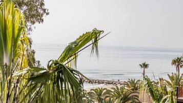 Accommodatie ligt op het strand