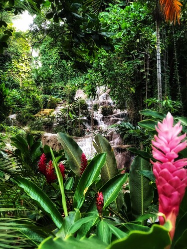 Tropical Oasis with River, Pool, Waterfall & Lush Garden,