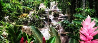 Villa vicino al fiume Dunn, spiagge, montagna mistica, shopping, vacanze in famiglia