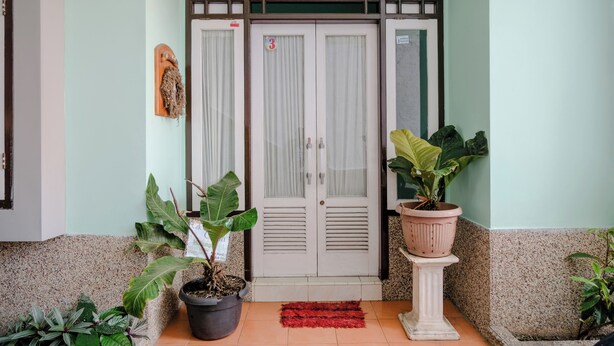 Una entrada de edificio con puertas dobles, plantas en macetas y un felpudo rojo.