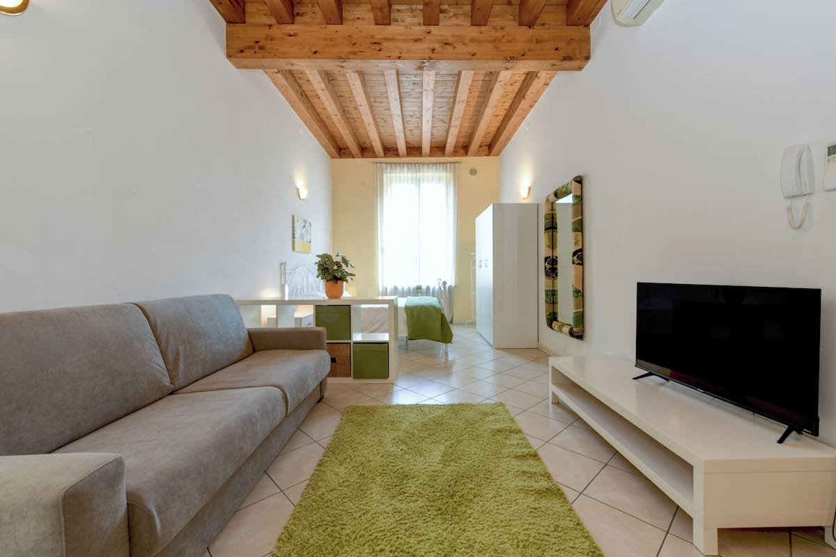 Ein modernes Wohnzimmer mit einer Couch, einem Fernseher auf einem weißen Schrank, einem grünen Teppich und einer Holzbodenverkleidung.
