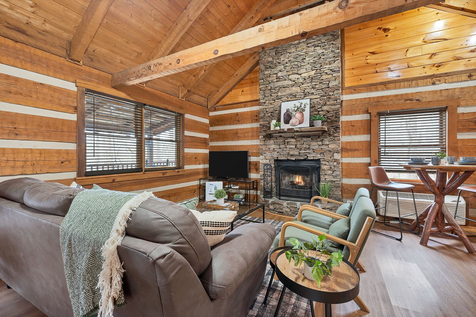 电视、壁炉、DVD 播放器