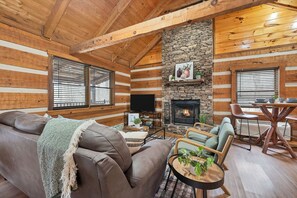 TV, fireplace, DVD player