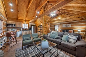 TV, fireplace, DVD player