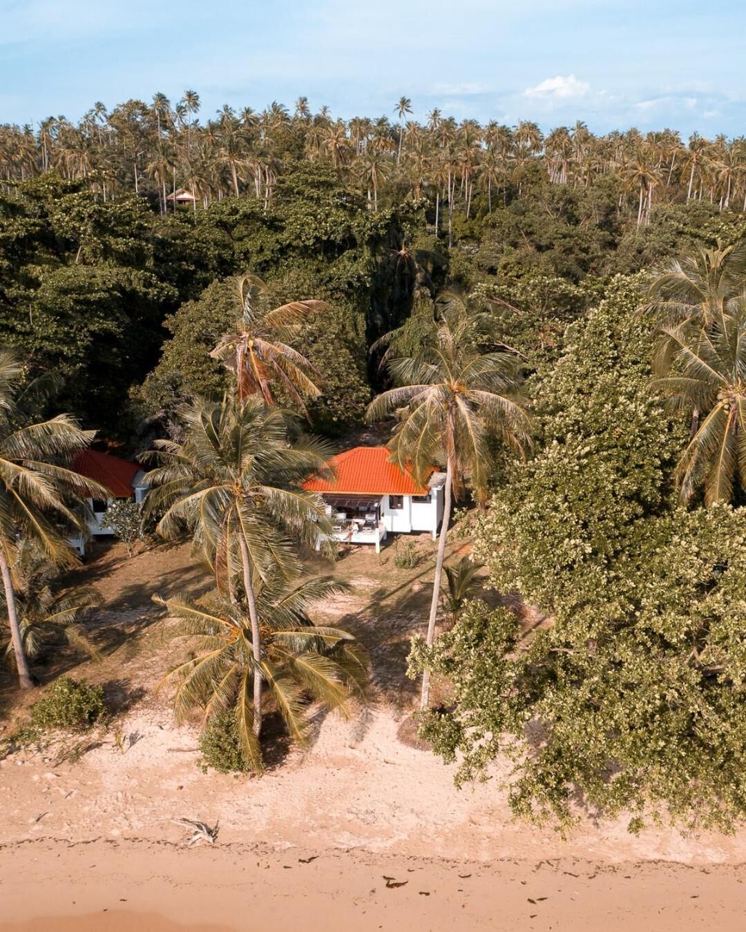 A coastal property with a red-roofed building surrounded by dense palm trees and a sandy beach.