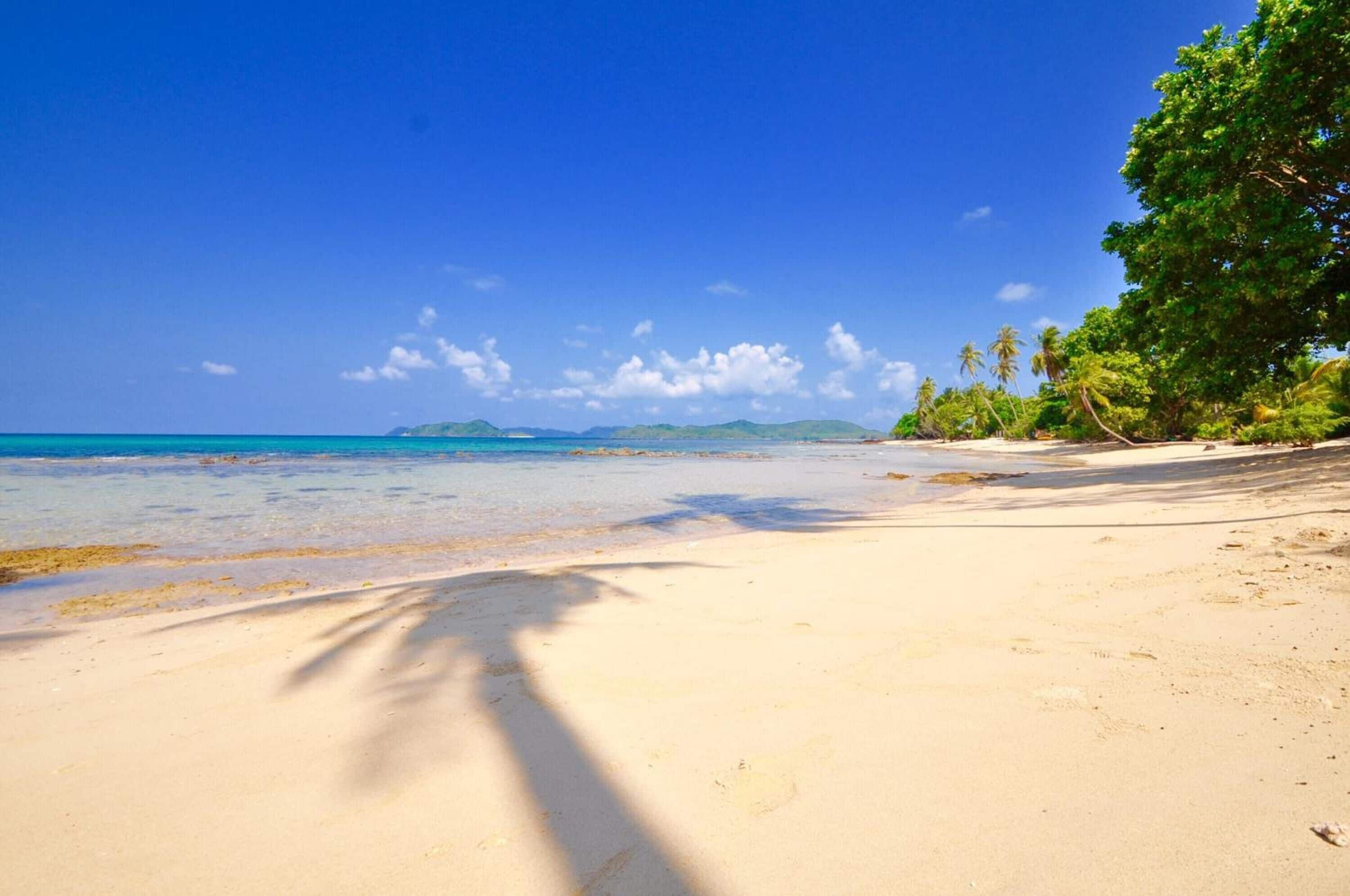 Une plage à l’eau turquoise et limpide, bordée de sable fin et ponctuée de palmiers.