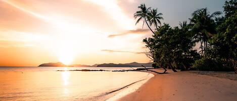 Spiaggia con impronte, palme e un tramonto.