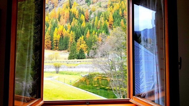 A window with a view of a forested area with autumn foliage. - Monterosa Apartment (Ayas)