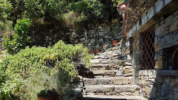 Una escalera de piedra con plantas en macetas en los peldaños, que conduce a un edificio con una verja de metal.