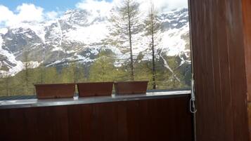 Apartment, 1 Bedroom, Mountain View | Balcony view