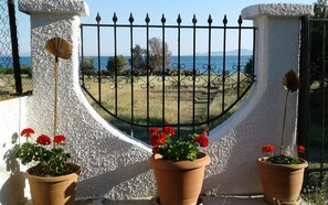 Vista desde la propiedad