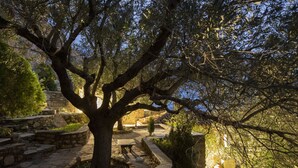 Un chemin de pierres qui mène à un espace aménagé avec des sièges, entouré d’arbres et de verdure.