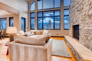 Televisión, chimenea y reproductor de DVD