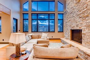 Televisión, chimenea y reproductor de DVD