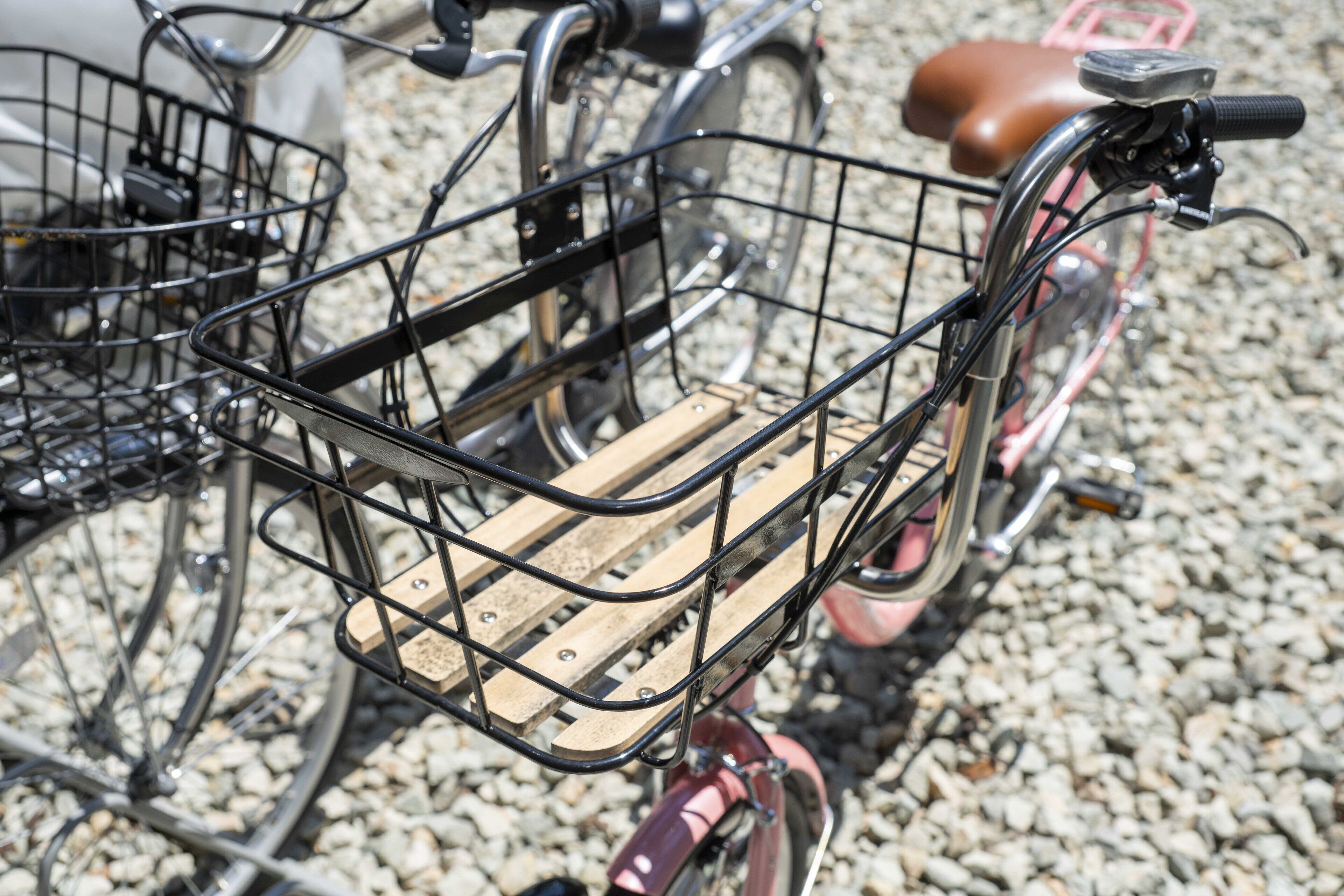 pet-friendly amenities