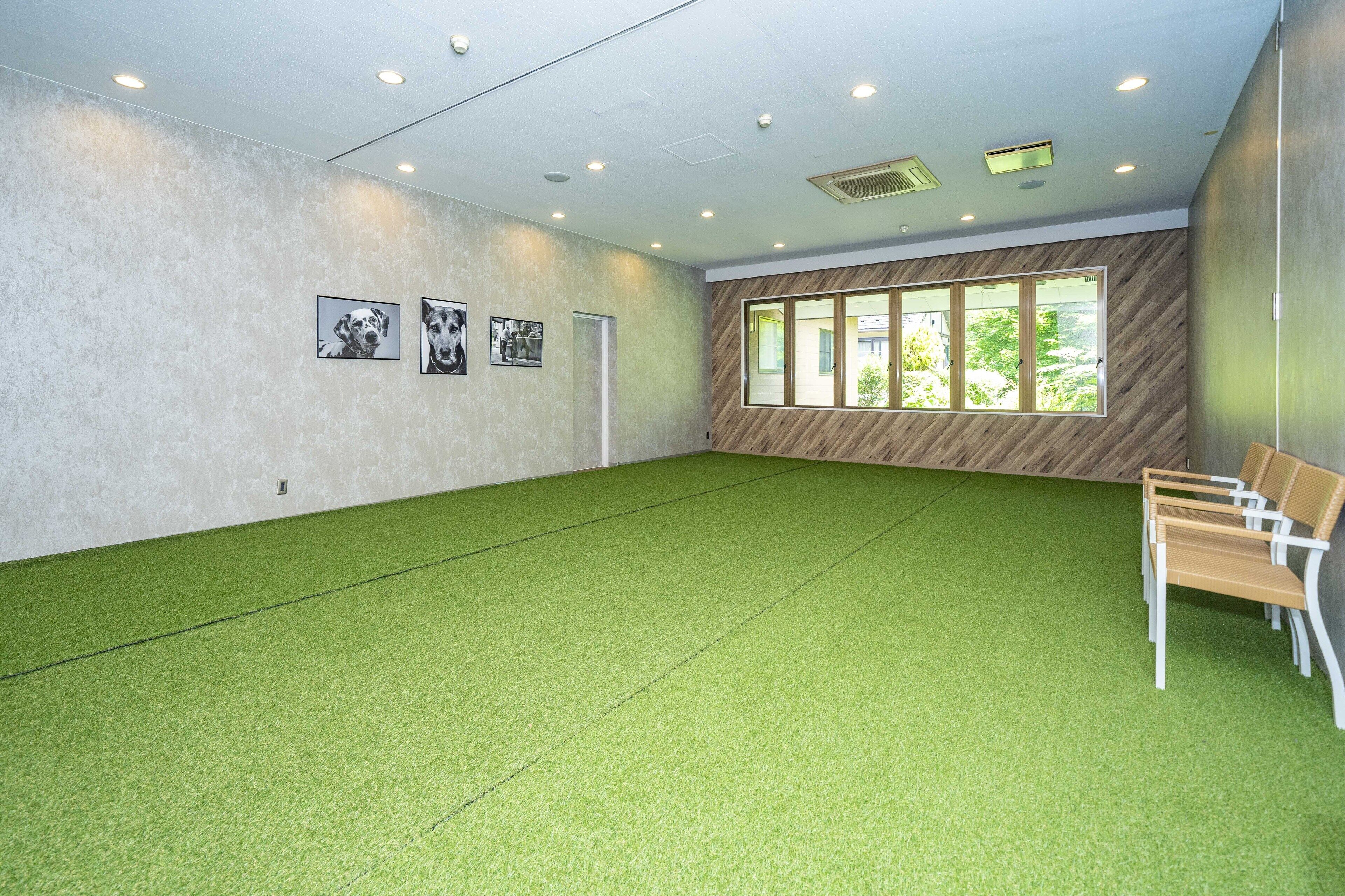 A spacious room with a green artificial turf floor, a wooden bench, and framed pictures on the wall.