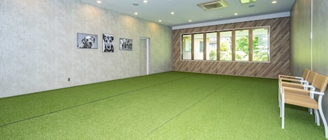 A spacious room with a green artificial turf floor, a wooden bench, and framed pictures on the wall.