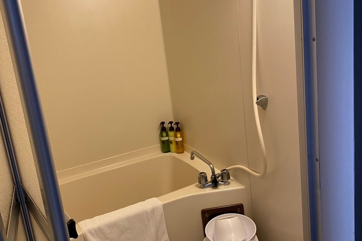 combined shower/bathtub, free toiletries, hair dryer, slippers