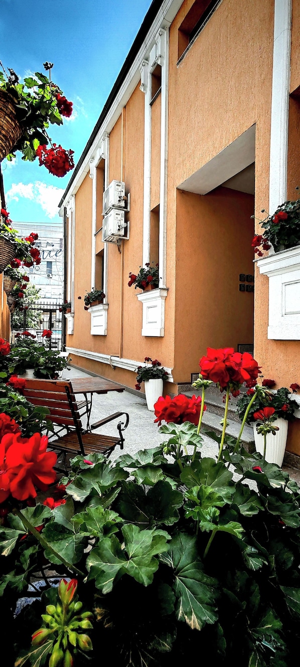 Exterior - Bucur 9 (Bucharest)