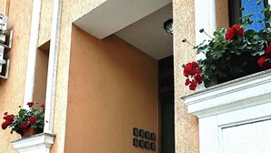 Entrada de un edificio con un conjunto de escalones de piedra que conducen a una puerta, flanqueada por macetas grandes con flores rojas.
