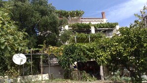 A residential building with a garden area featuring grapevines and a satellite dish. - Apartments Kust (Zupa dubrovacka)