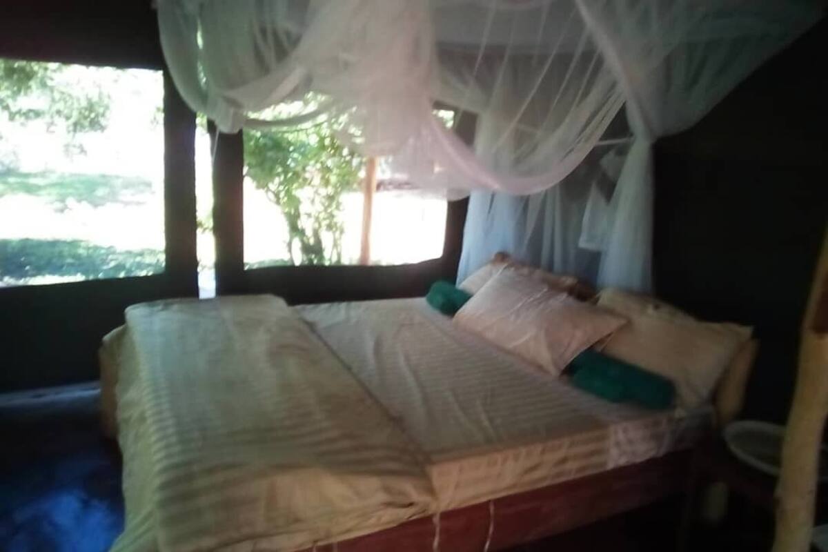 Habitación doble estándar | Ropa de cama de alta calidad, edredón y camas con pillow-top