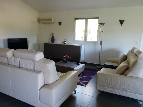 Televisión, reproductor de DVD y libros 