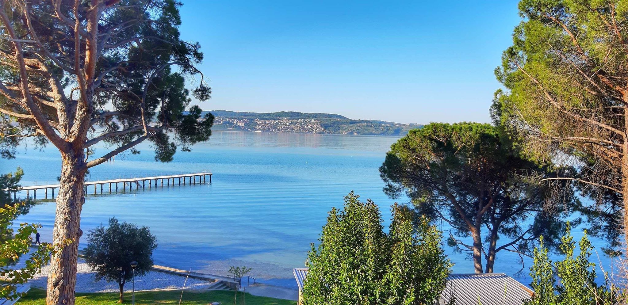 A waterfront property with a dock extending into calm water, surrounded by trees and a distant town.
