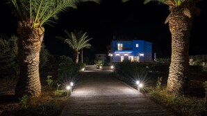 Un chemin mène à une maison à deux étages, dont la façade est bleue, entourée de palmiers et illuminée par des lampadaires.