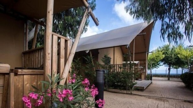 A wooden deck with a white canopy, surrounded by sand and greenery, leading to a building with a sloped roof.