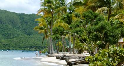 CREOLE VILLA (300M BEACH)