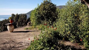 A garden with a large vase and a view of the sea.