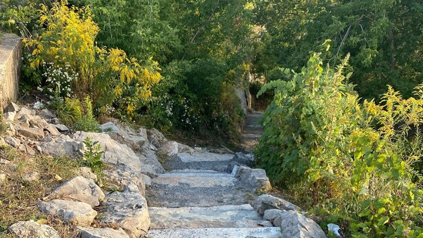 Una escalera de piedra rodeada de follaje.