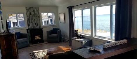 TV, fireplace, books, video library