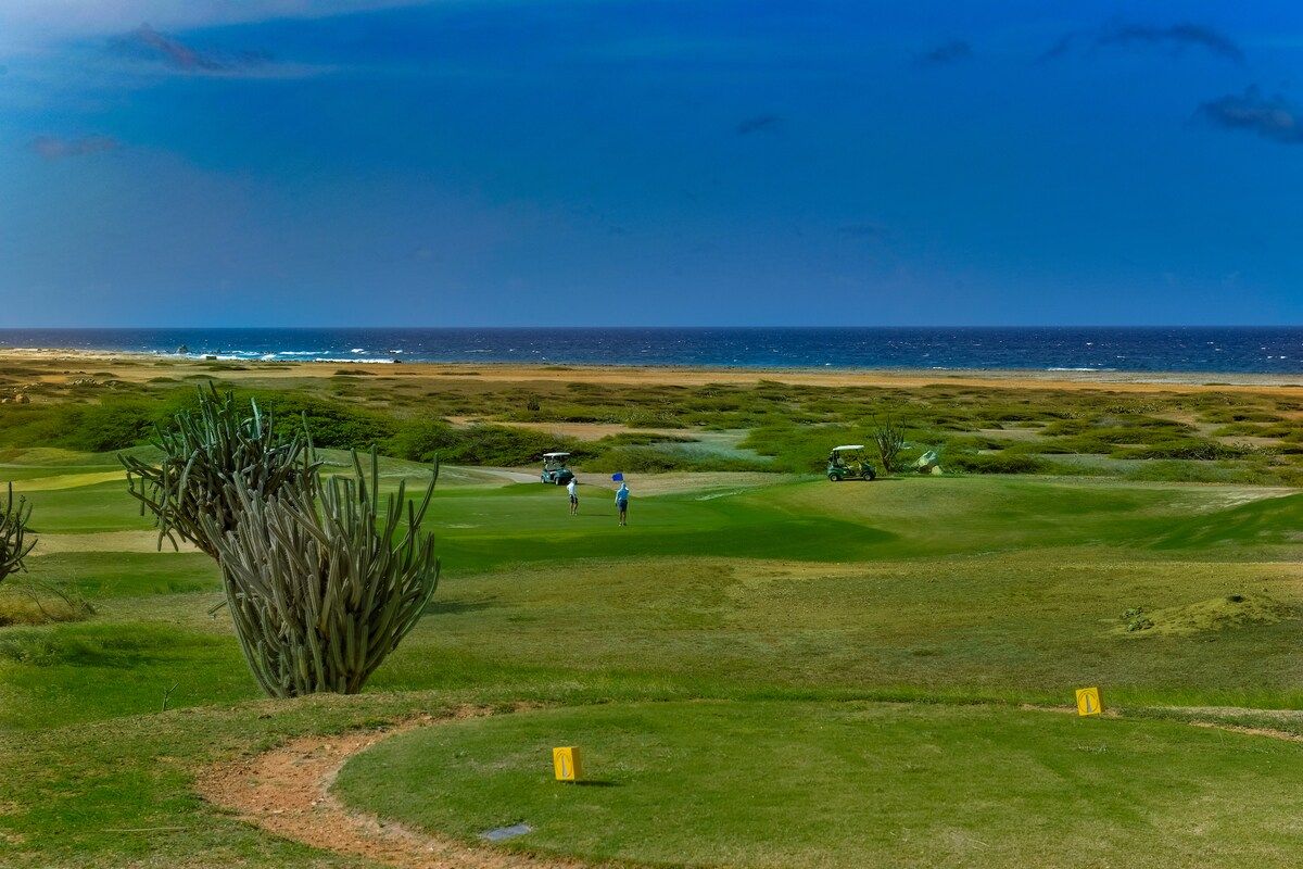 En golfbana med utsikt över havet.