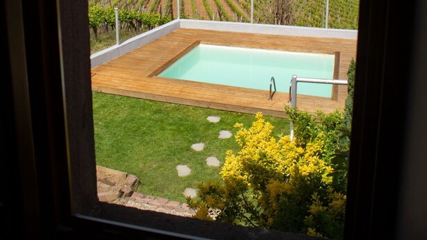 Vue depuis une fenêtre sur une zone de piscine, avec des vignes en arrière-plan.