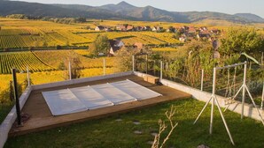 Un vignoble avec des rangées de vignes et des maisons en arrière-plan.