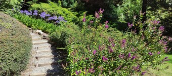Arrayanes house with coastline and beautiful views of Lake Nahuel Huapi